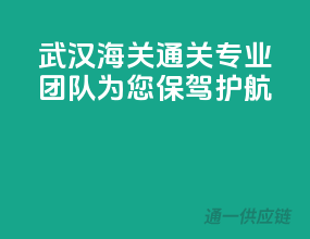 武汉海关通关，专业团队为您保驾护航