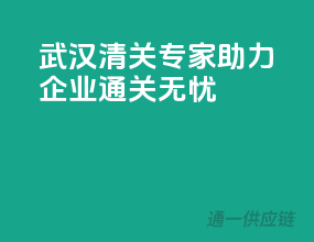 武汉清关专家，助力企业通关无忧
