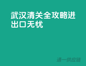 武汉清关全攻略，进出口无忧