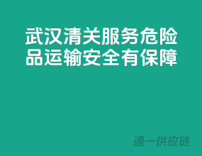 武汉清关服务，危险品运输安全有保障