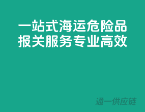一站式海运危险品报关服务，专业高效