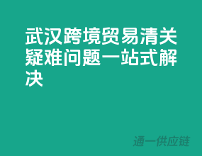 武汉跨境贸易，清关疑难问题一站式解决