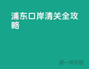 浦东口岸清关全攻略