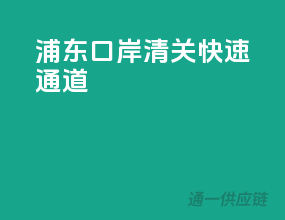 浦东口岸清关快速通道