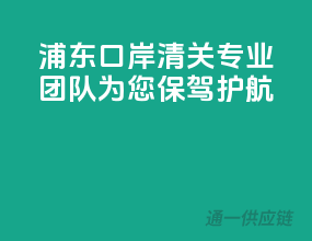 浦东口岸清关，专业团队为您保驾护航