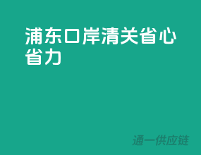浦东口岸清关，省心省力