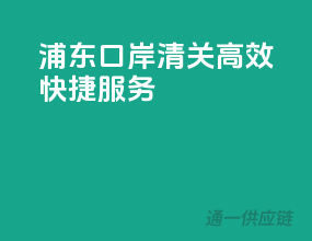 浦东口岸清关，高效快捷服务