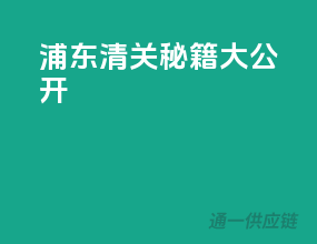 浦东清关秘籍大公开