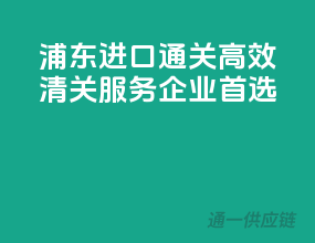 浦东进口通关，高效清关服务，企业首选