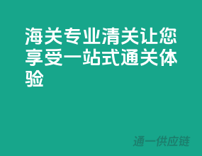 海关专业清关，让您享受一站式通关体验