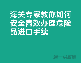 海关专家教你如何安全高效办理危险品进口手续