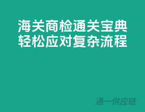 海关商检通关宝典，轻松应对复杂流程