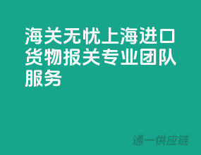 海关无忧，上海进口货物报关，专业团队服务