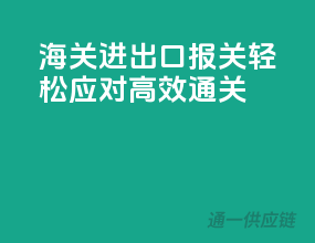 海关进出口报关，轻松应对，高效通关