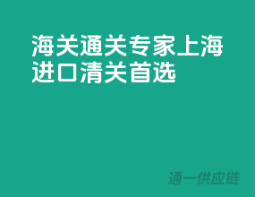 海关通关专家，上海进口清关首选