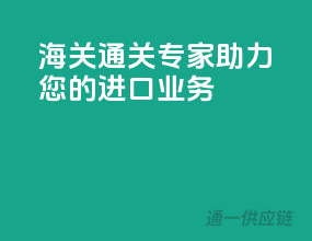 海关通关专家，助力您的进口业务