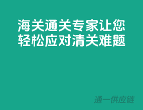 海关通关专家，让您轻松应对清关难题