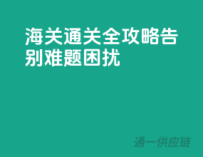 海关通关全攻略，告别难题困扰