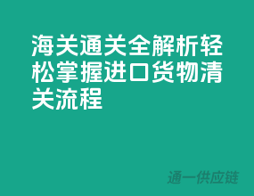 海关通关全解析：轻松掌握进口货物清关流程
