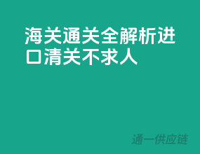 海关通关全解析：进口清关不求人