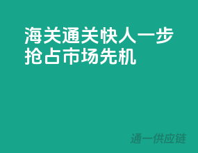 海关通关快人一步，抢占市场先机