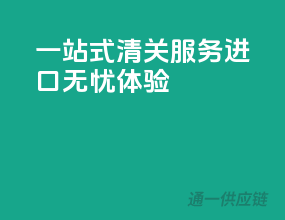 一站式清关服务，进口无忧体验