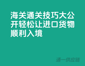 海关通关技巧大公开：轻松让进口货物顺利入境