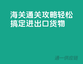 海关通关攻略，轻松搞定进出口货物