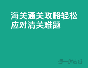 海关通关攻略：轻松应对清关难题