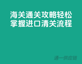 海关通关攻略：轻松掌握进口清关流程