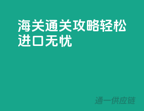 海关通关攻略：轻松进口无忧