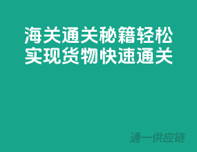 海关通关秘籍：轻松实现货物快速通关