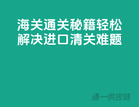 海关通关秘籍：轻松解决进口清关难题