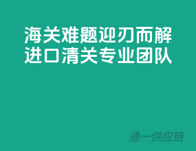 海关难题迎刃而解，进口清关专业团队