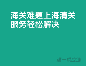 海关难题，上海清关服务轻松解决