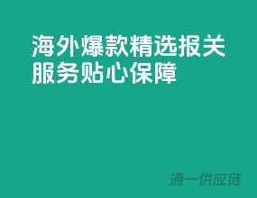 海外爆款精选，报关服务贴心保障
