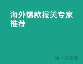 海外爆款，报关专家推荐
