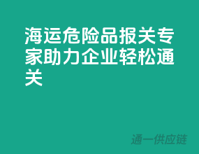 海运危险品报关专家，助力企业轻松通关