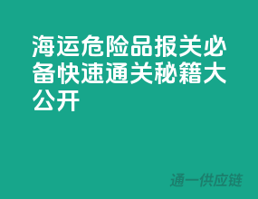 海运危险品报关必备：快速通关秘籍大公开