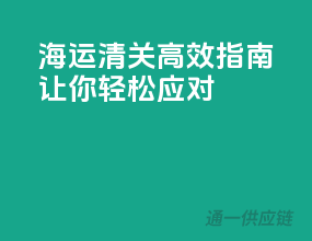 海运清关高效指南，让你轻松应对