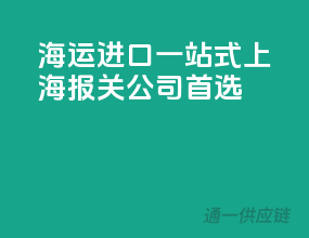 海运进口一站式，上海报关公司首选