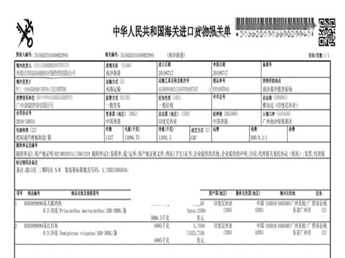 上海冻鱼进口报关代理